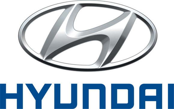 Hyundai Turbo Blankets
